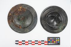 Foto von Bronzephalere (NHMW-PRAE-025823)